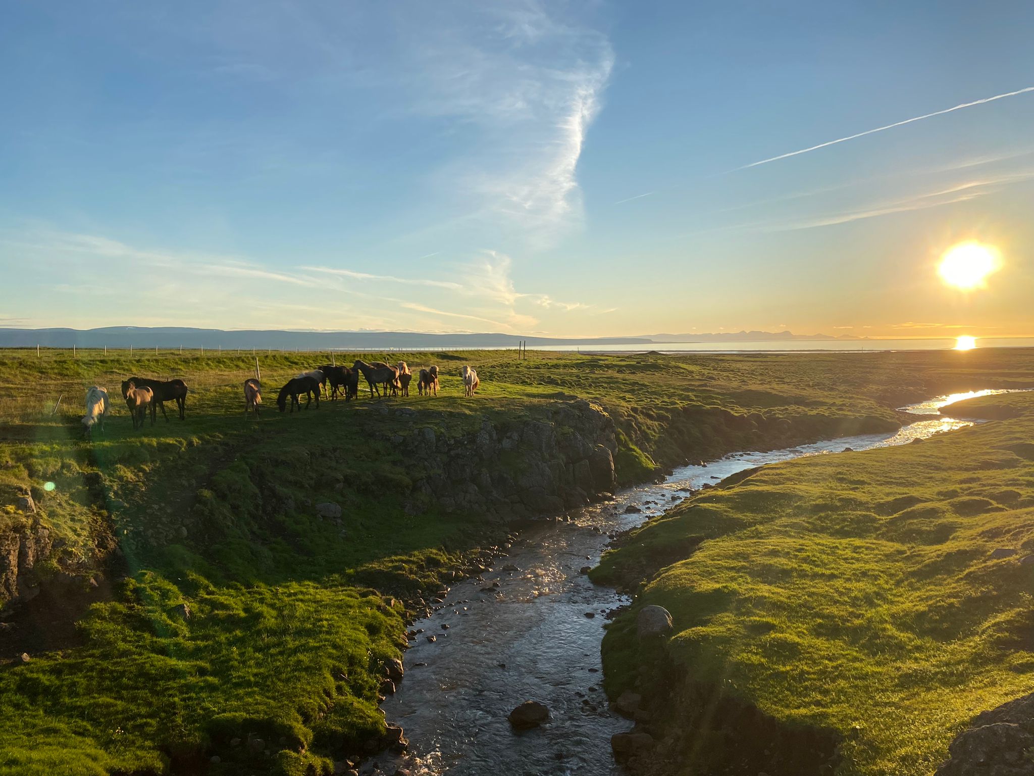 Morgens auf Farm Hæli – Blick über die isländische Landschaft