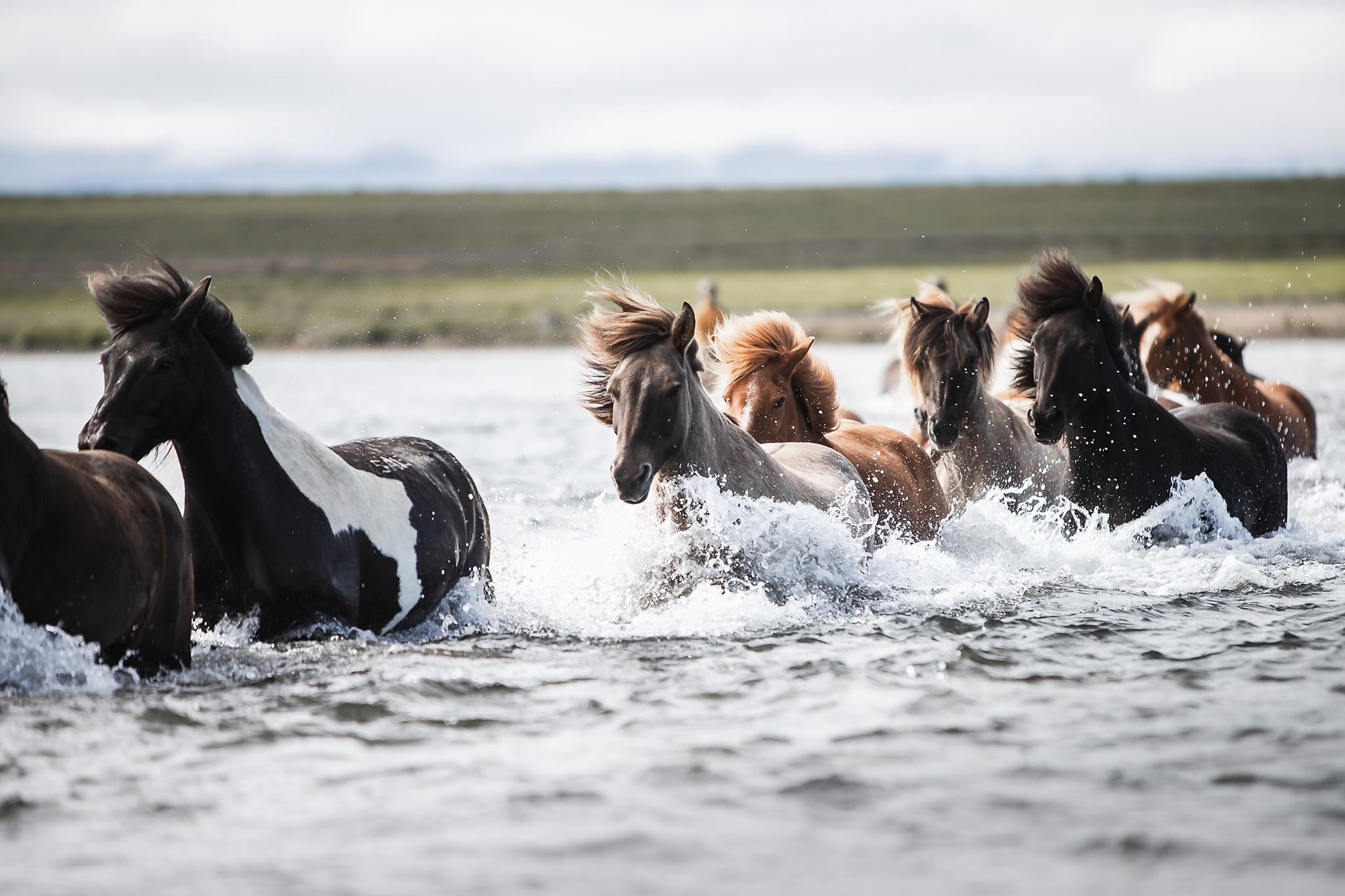 Reittour Nordisland