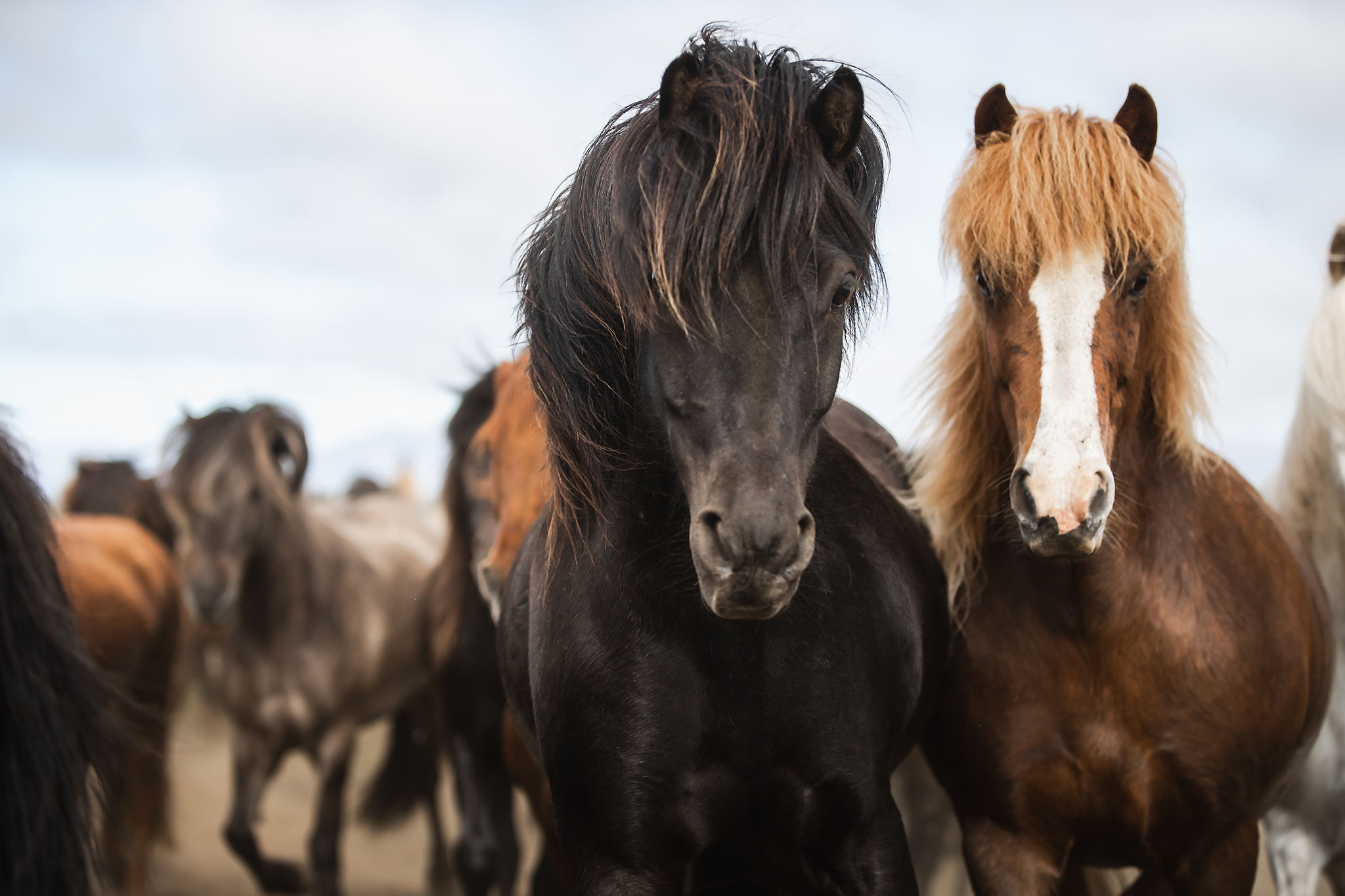 Individueller Anlass