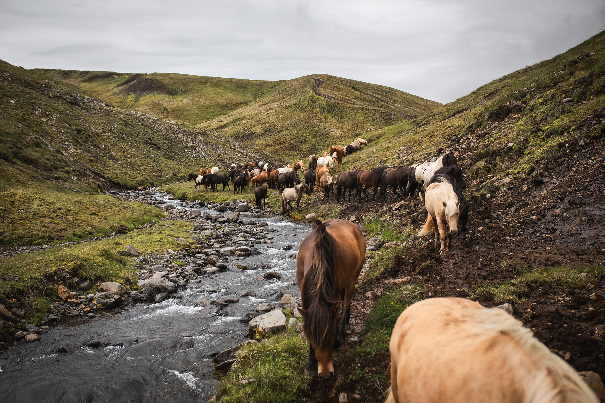 Landschaft Nordisland 4