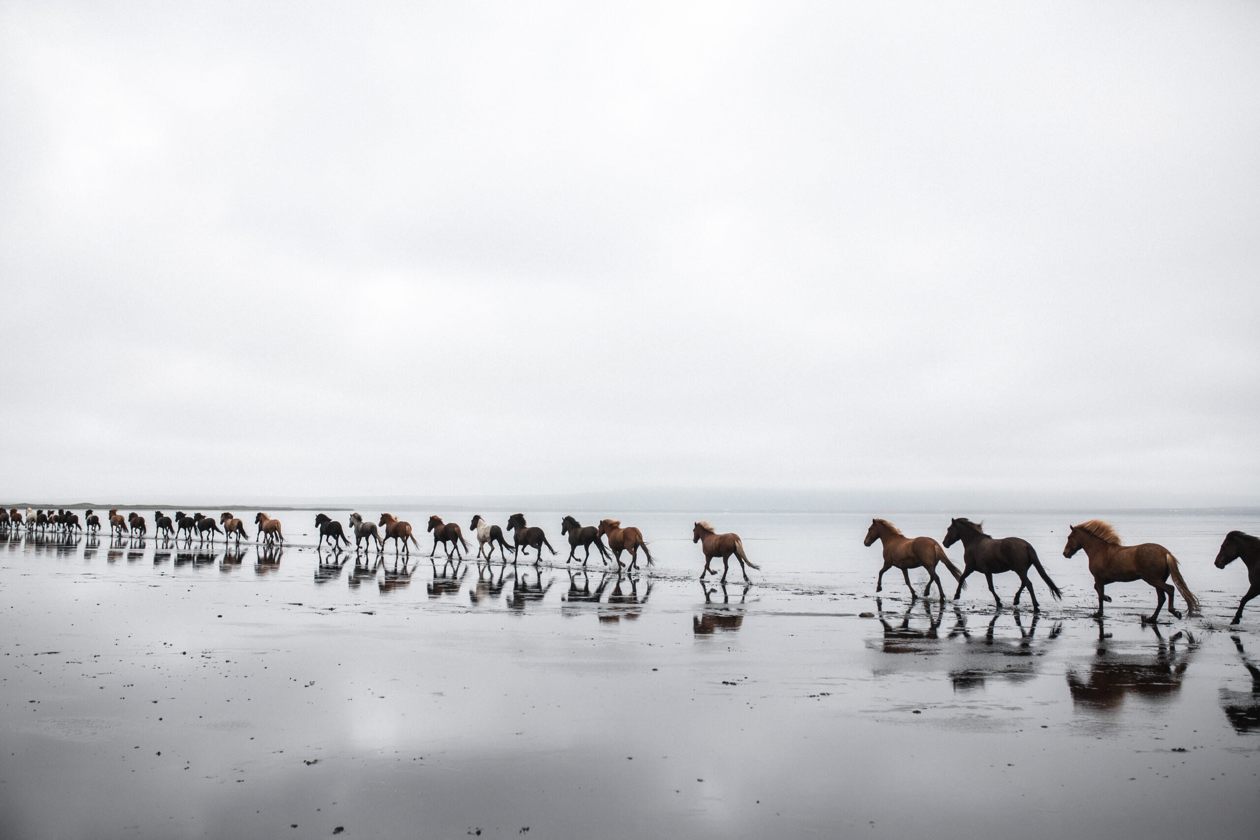 Landschaft Nordisland 5