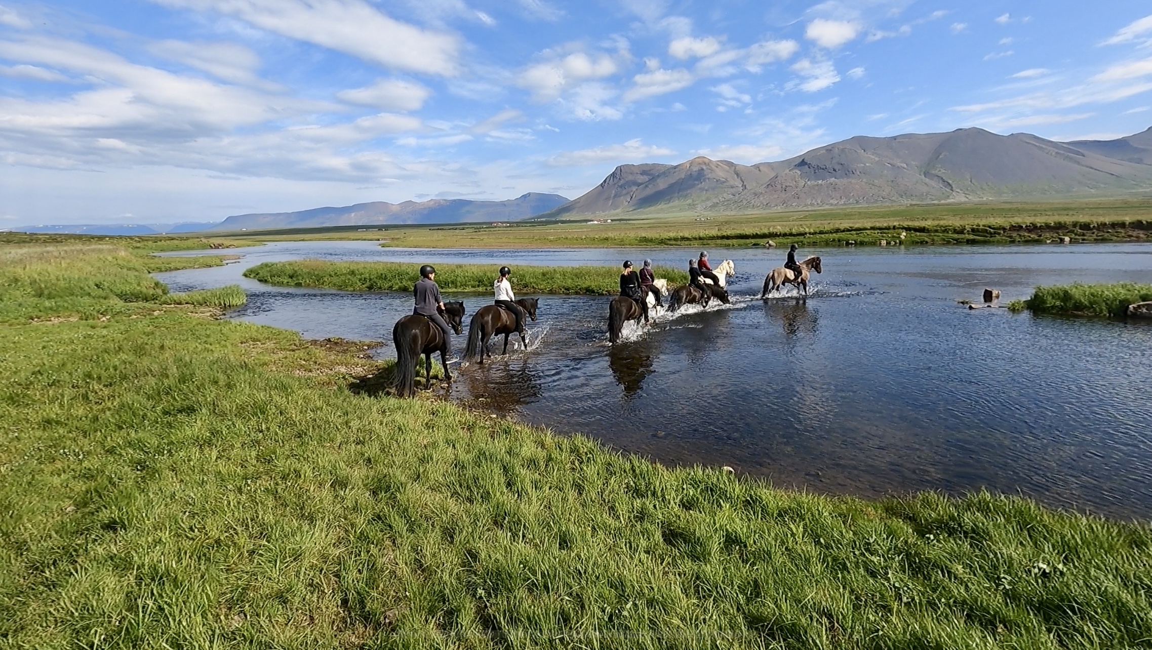 Reittour durch Nordisland mit Lupinen und Pferden