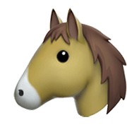Pferd
