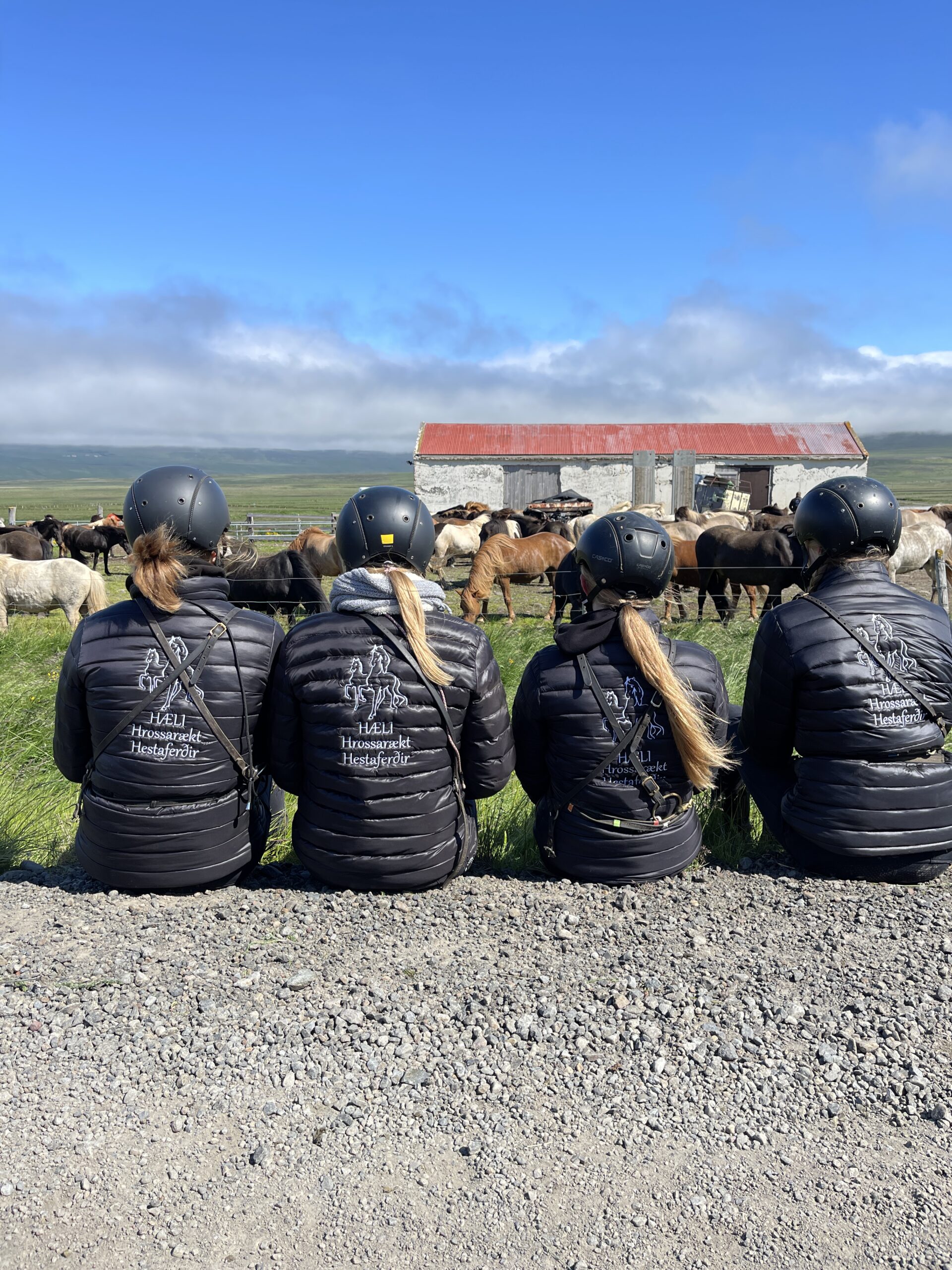 Das Hæli-Team