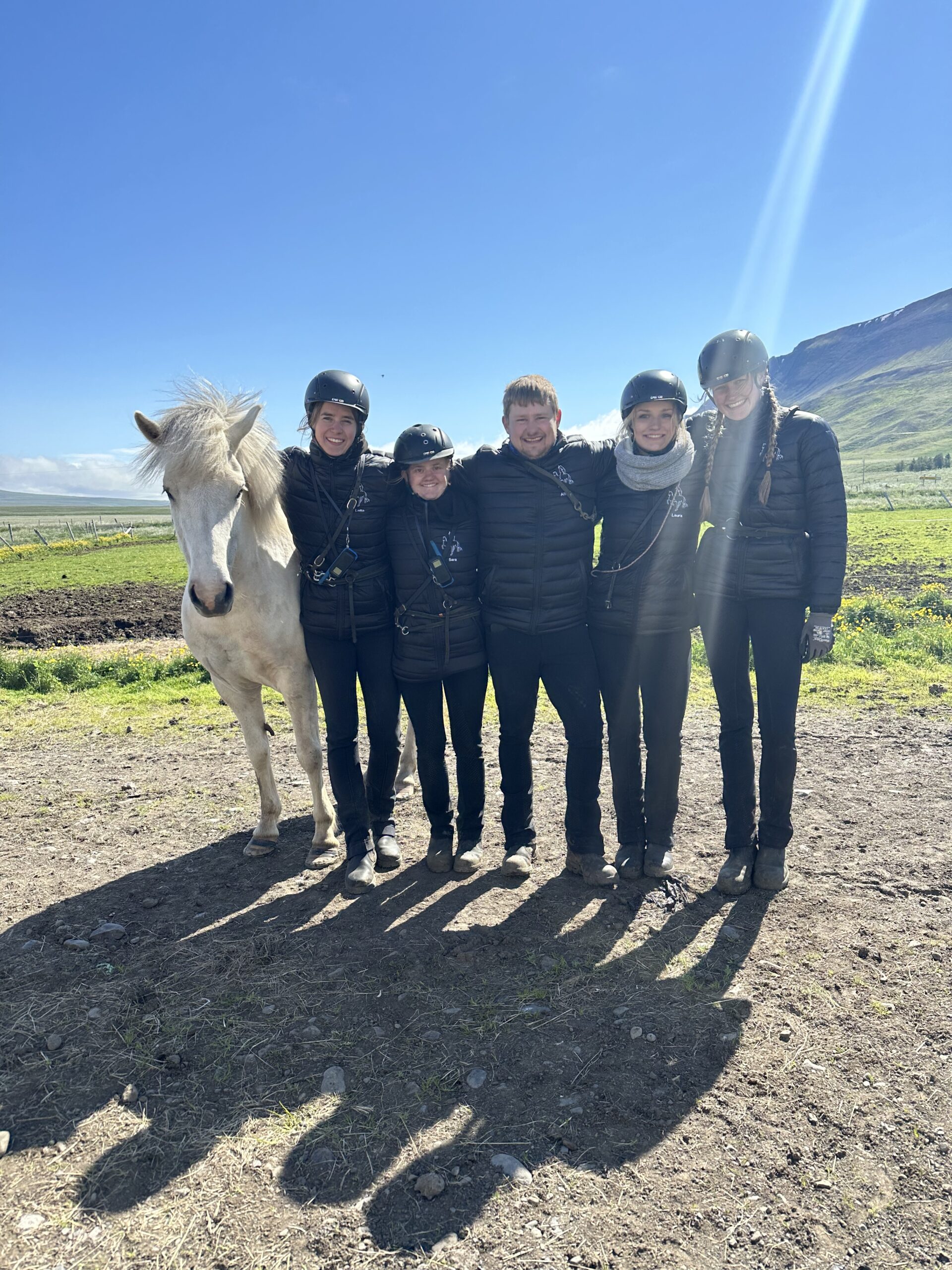 Das Hæli-Team