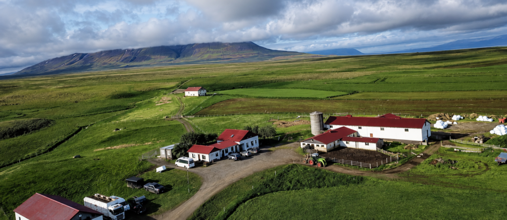 Farm Hæli im grünen Sommer
