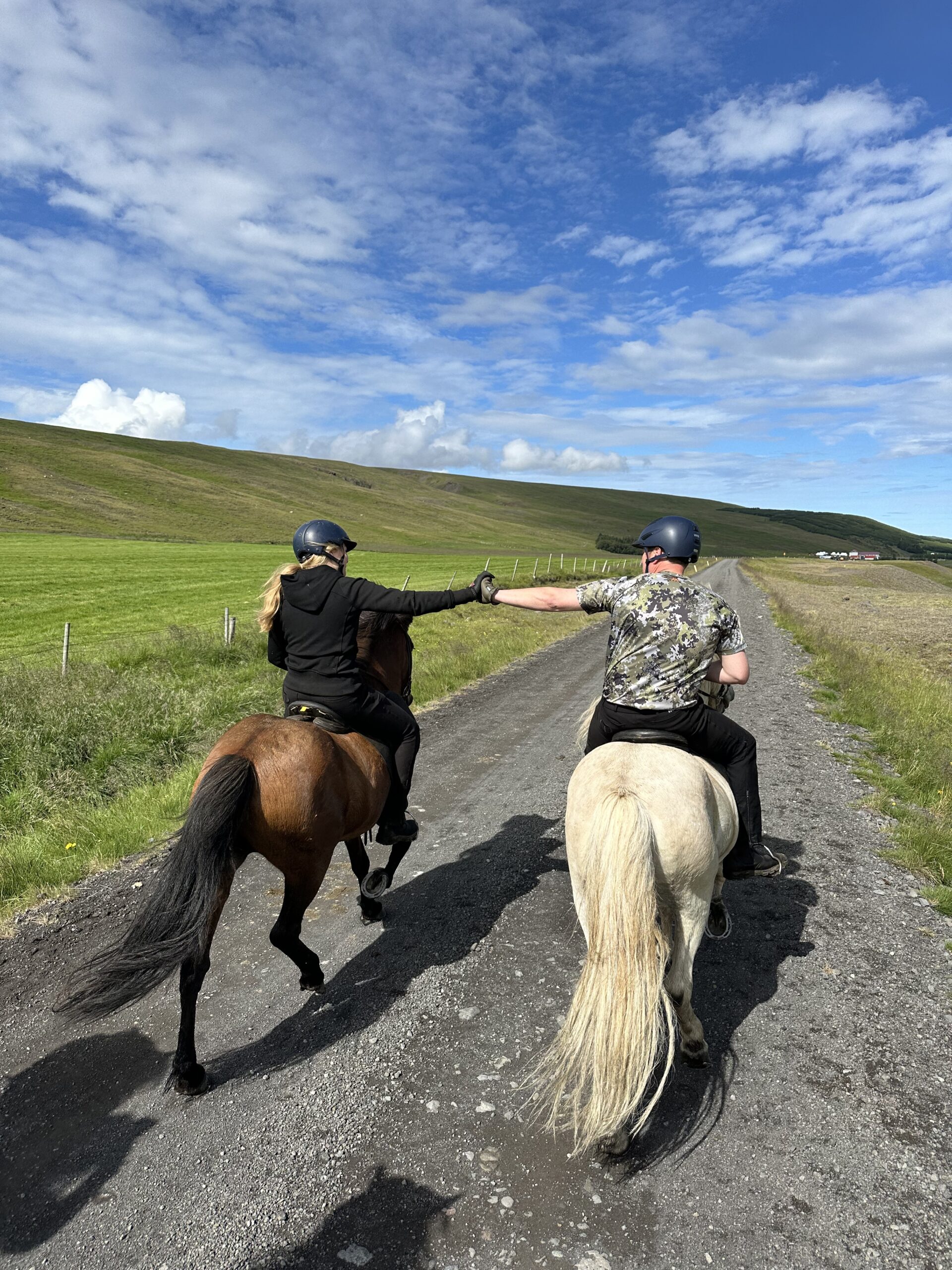 Reittour durch Nordisland mit Lupinen und Pferden