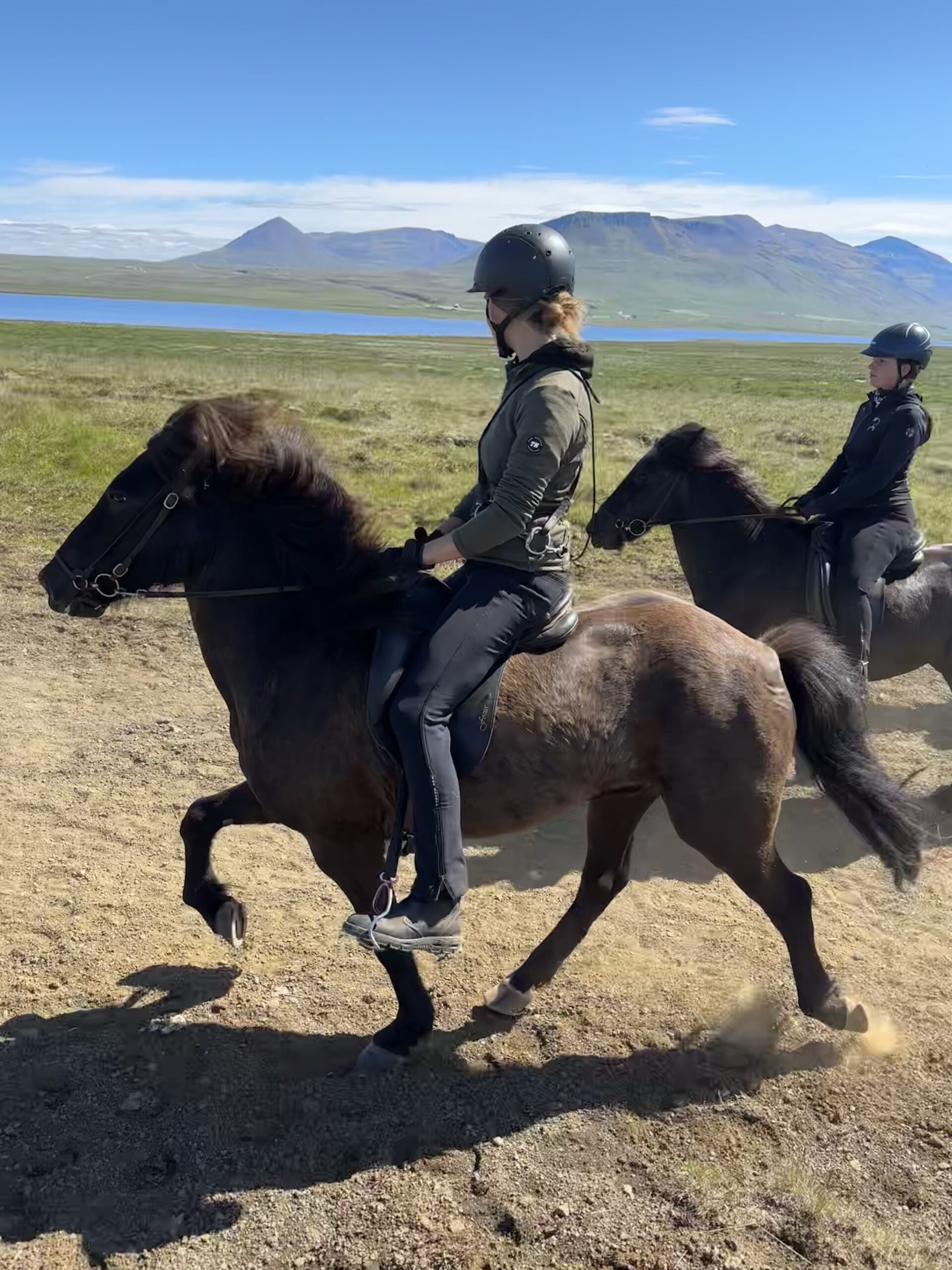 Reiter auf Farm Hæli